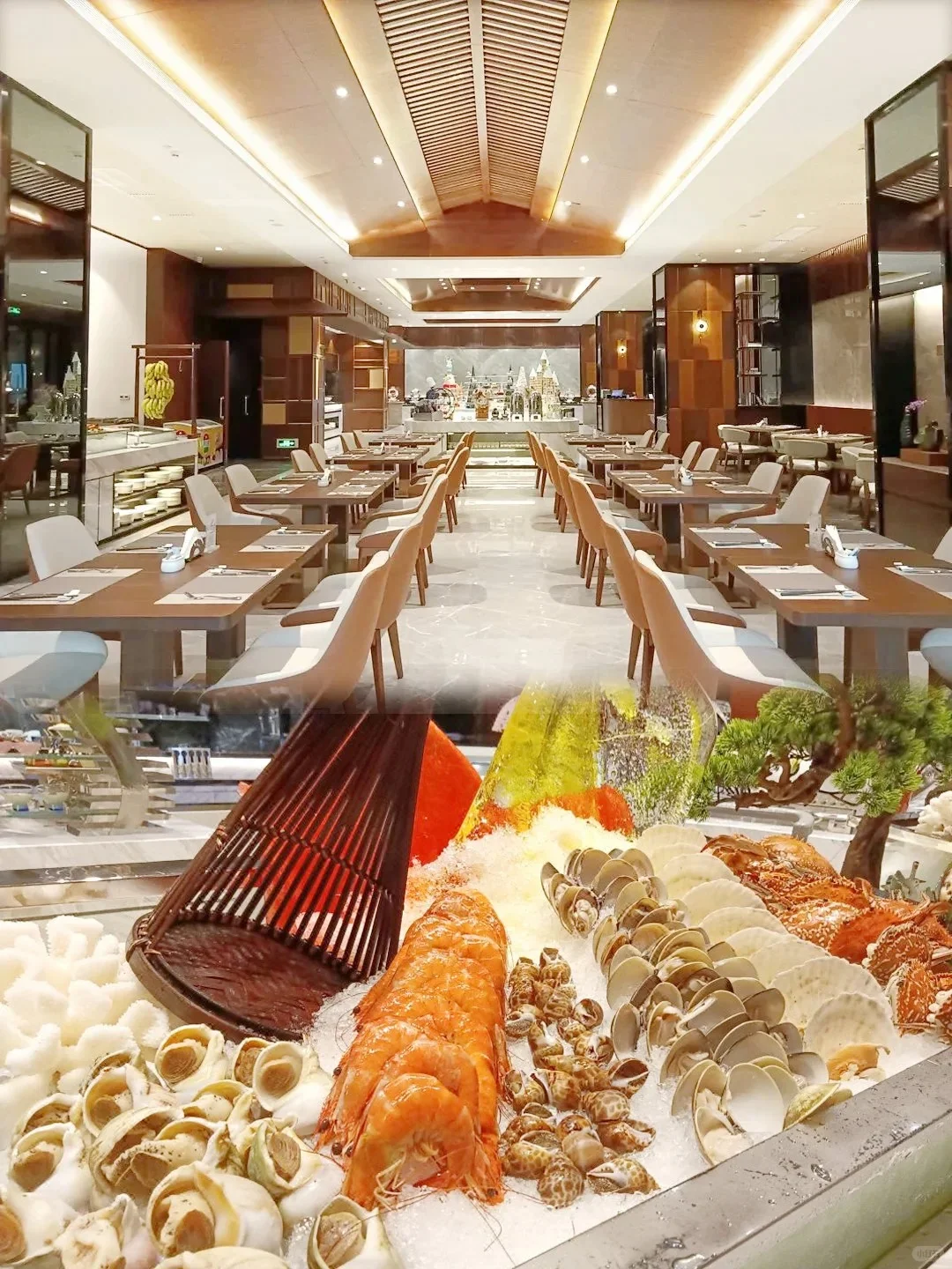 🌿茂名信宜｜被低估的宝藏亲子庄园