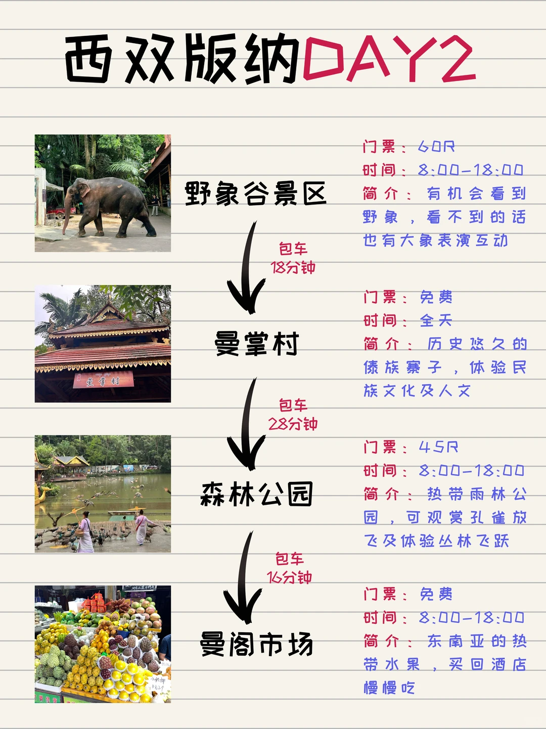 西双版纳休闲版3️⃣天旅游全攻略(路线图