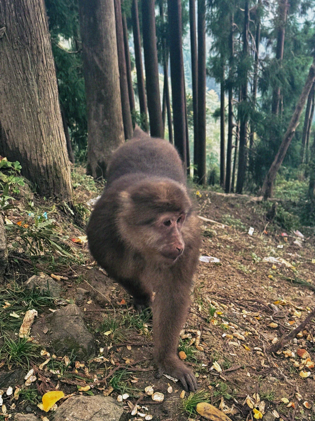 太阳湾景区避雷避雷