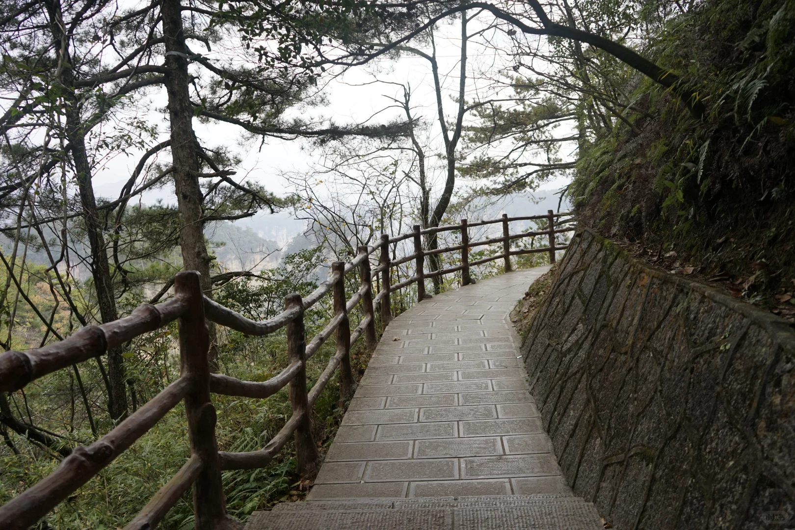 张家界攻略！避坑 + 省时