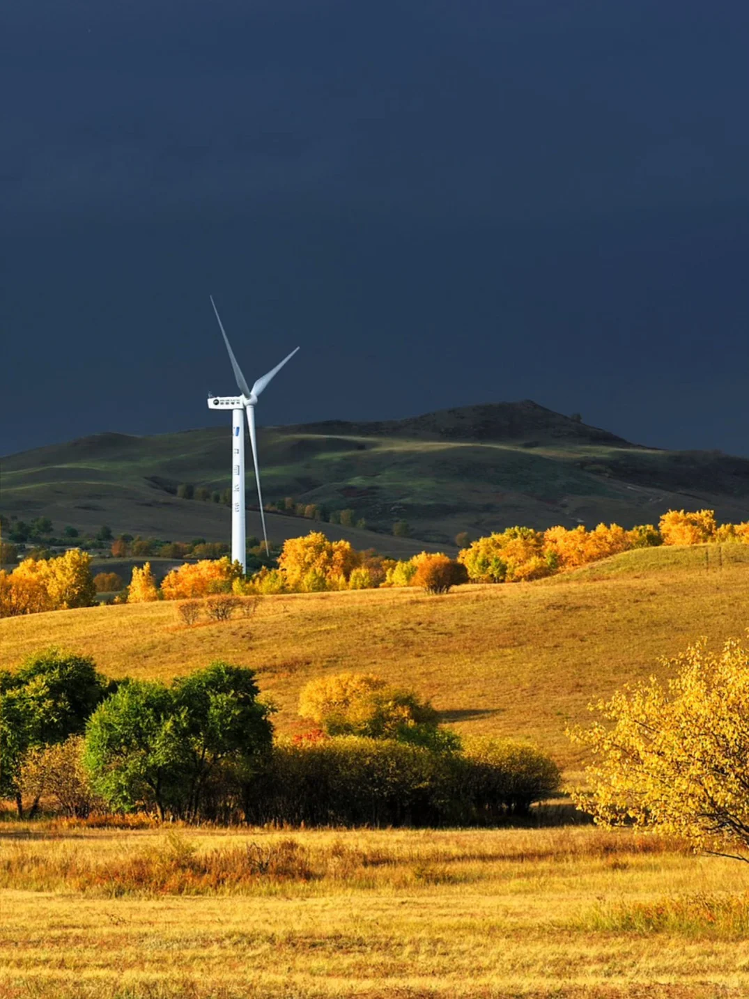 河北承德围场县塞罕坝·御道河谷·御桦十景