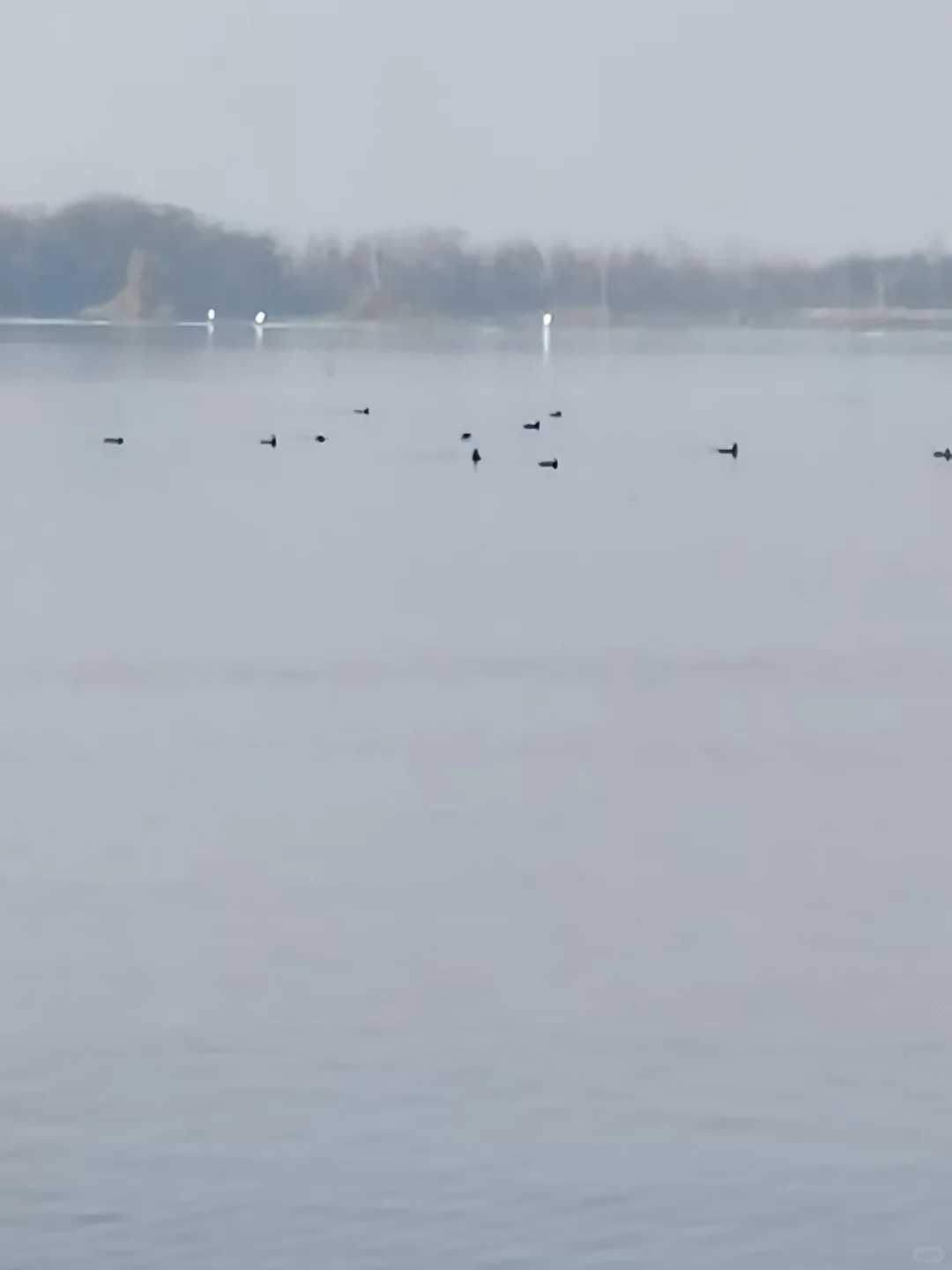 白洋淀野趣全家福攻略，商家实拍