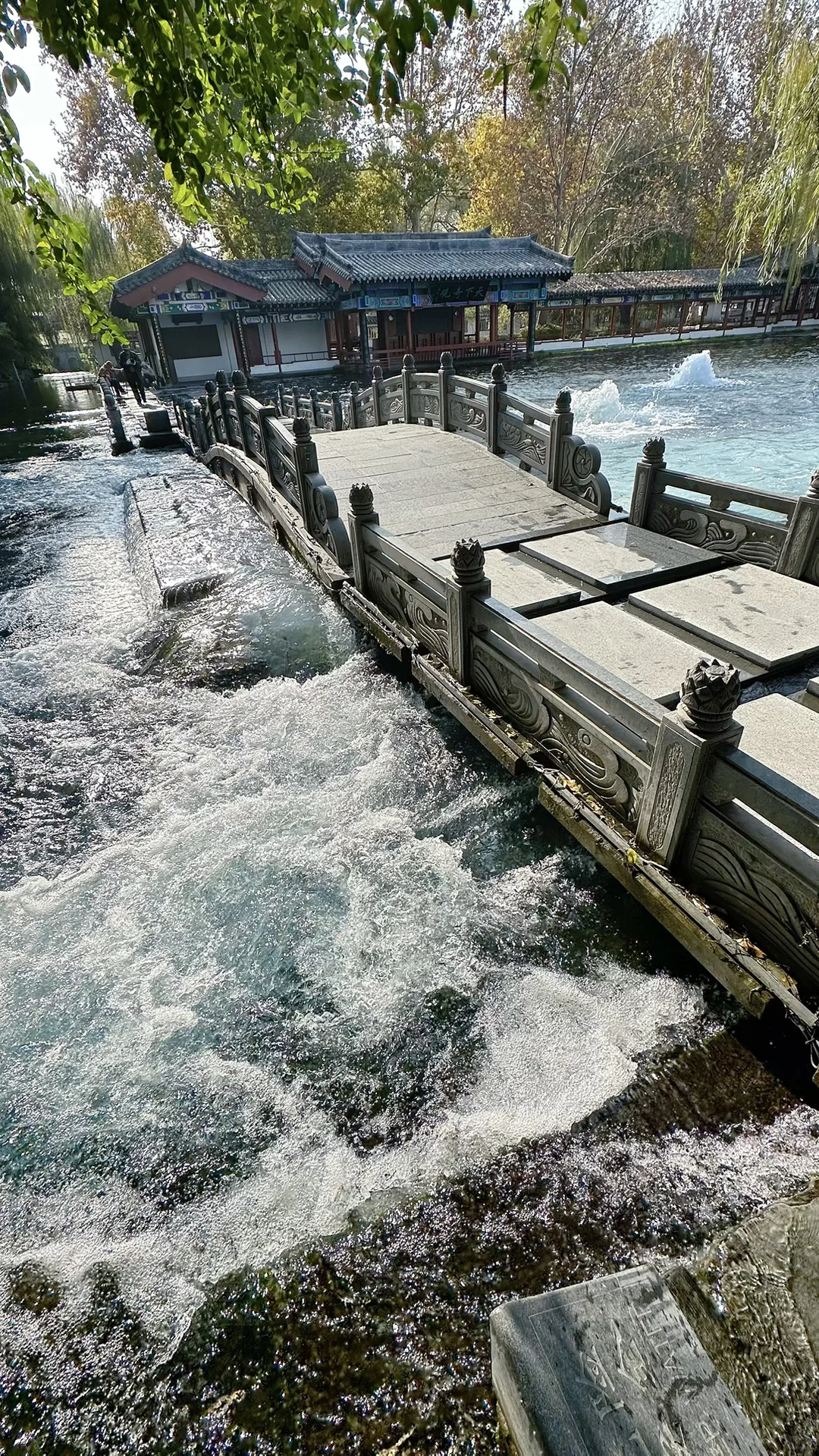 Live图的意义，济南泉水太有生命力了‼️