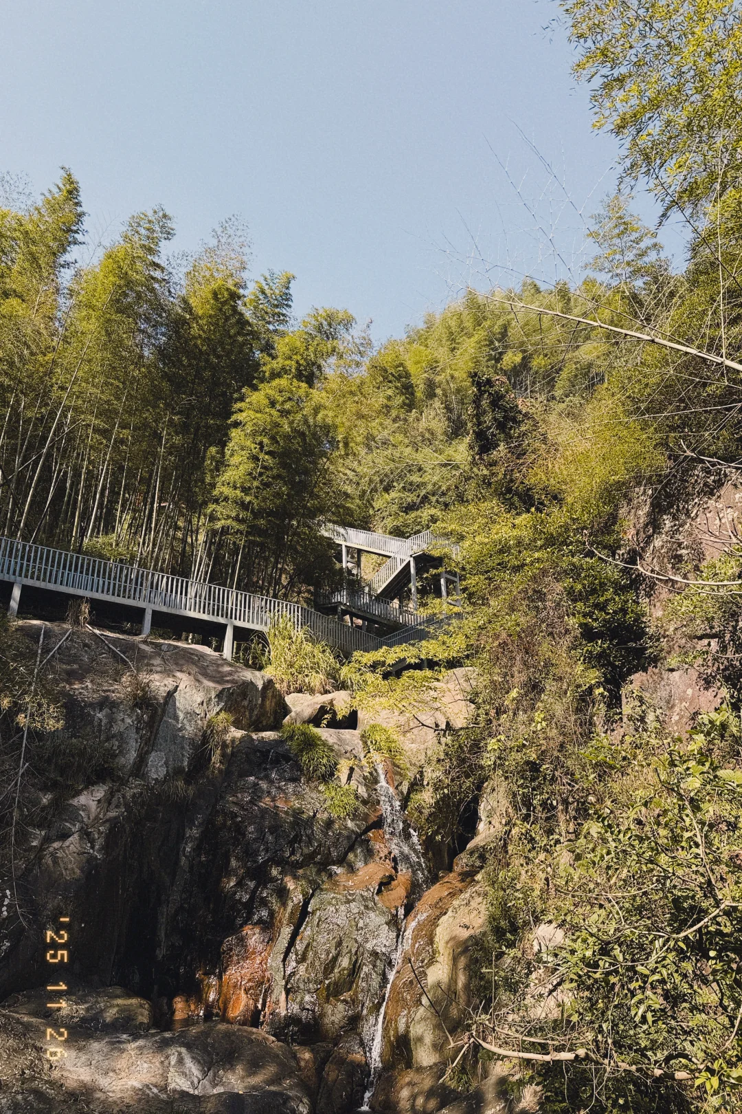 风声，鸟叫声和流水声，倾听大自然的声音