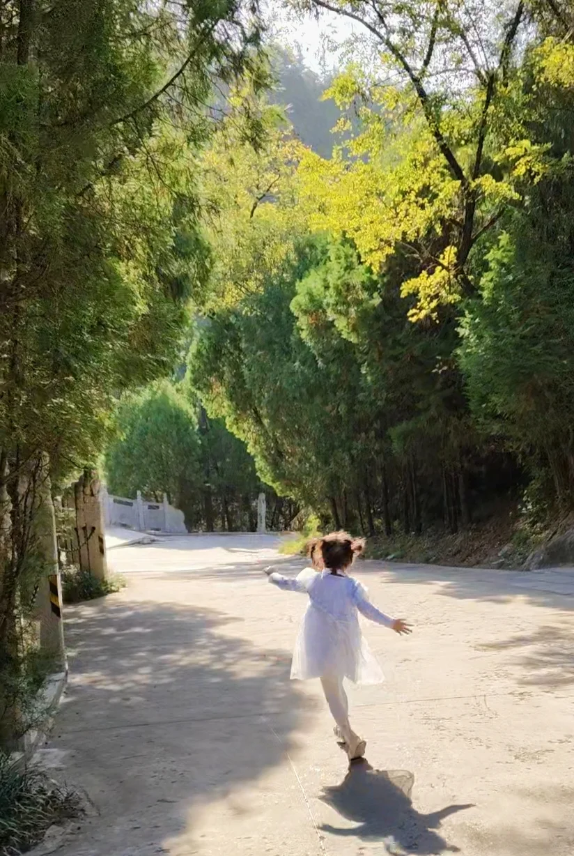 11、12月西安自驾1h铜川药王山一日游