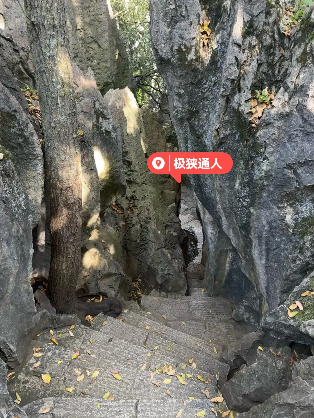 昆明|石林📍 钻进亿年石头缝里探险也太酷了