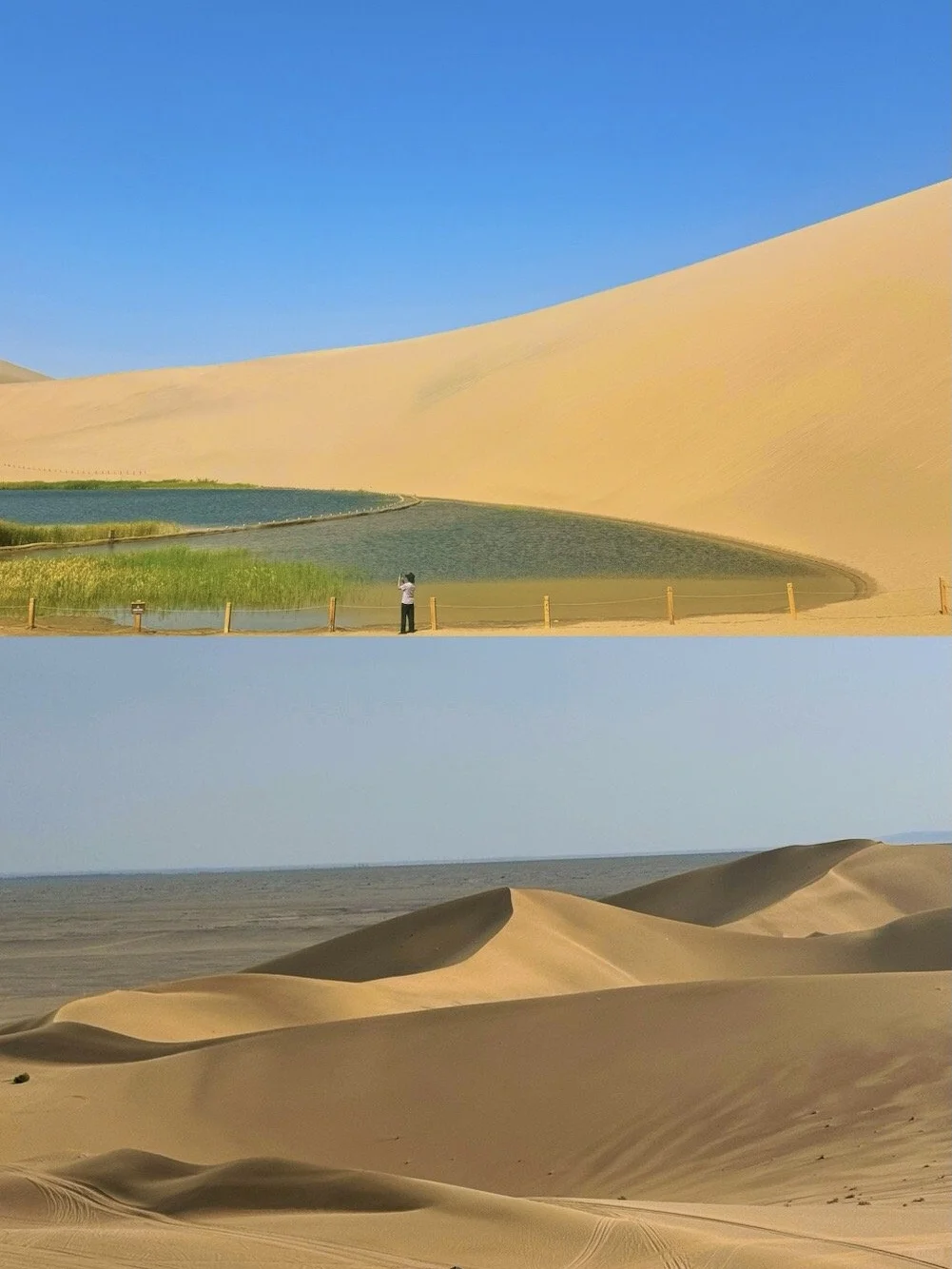 📍10.1青甘刚回,真的要舍弃几个海子...