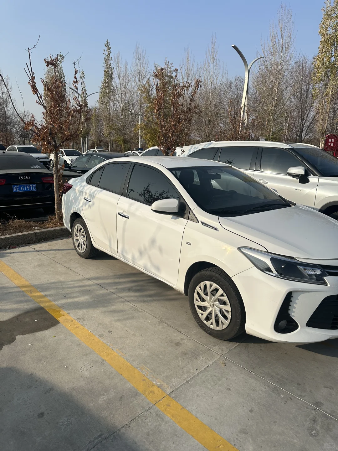 天津大学生周末不请假两天极限往返赛里木湖