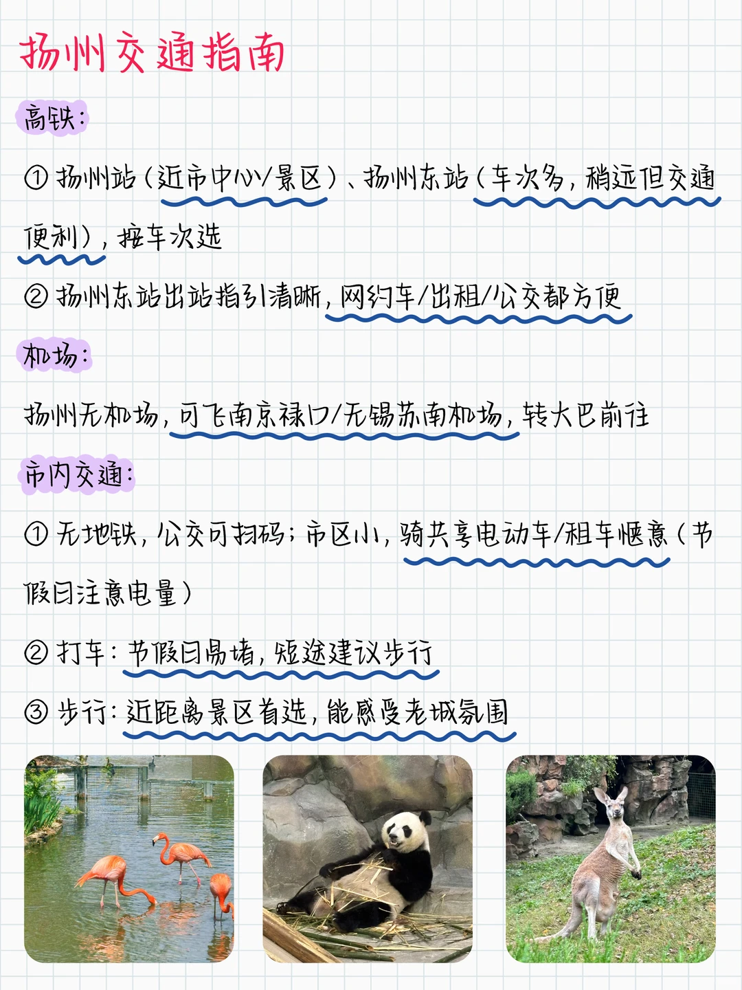 冬季游扬州，怎么玩得尽兴又避坑？