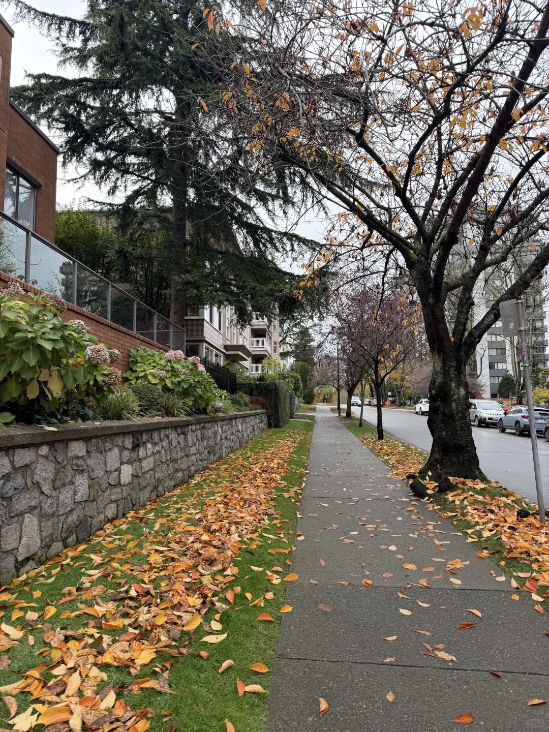 🇨🇦Vancouver plog