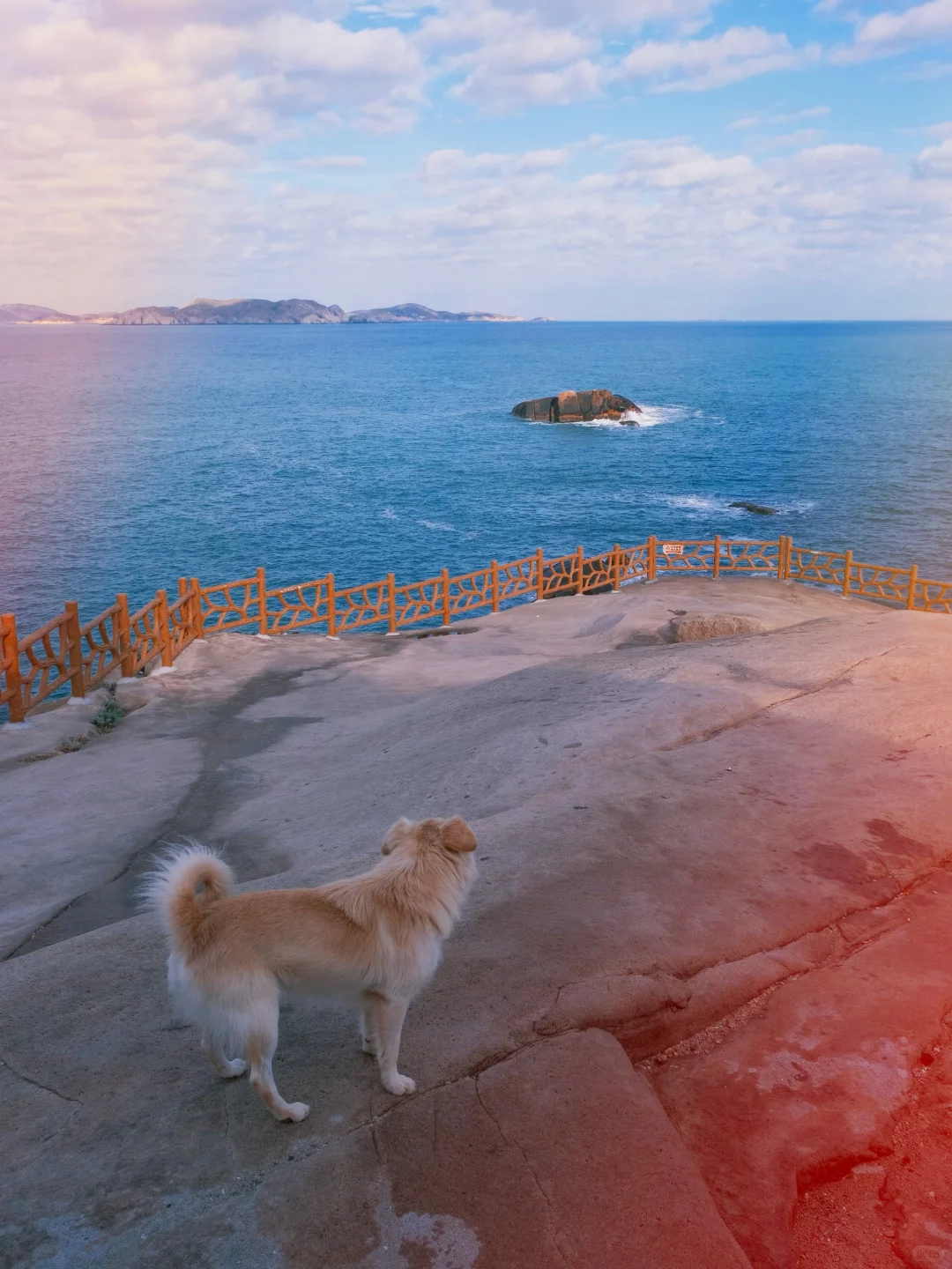 反向旅行天才！浙江淡季最适合去的海岛🌊