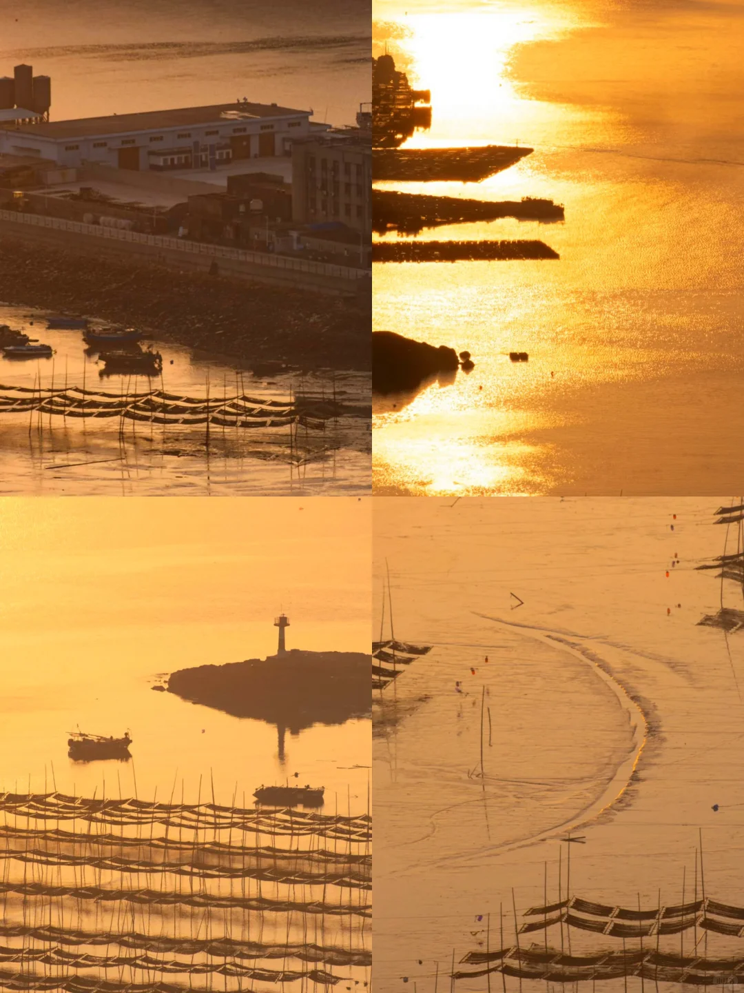 霞浦秋游｜11-12月淡季海岛才是治愈天花板❗️