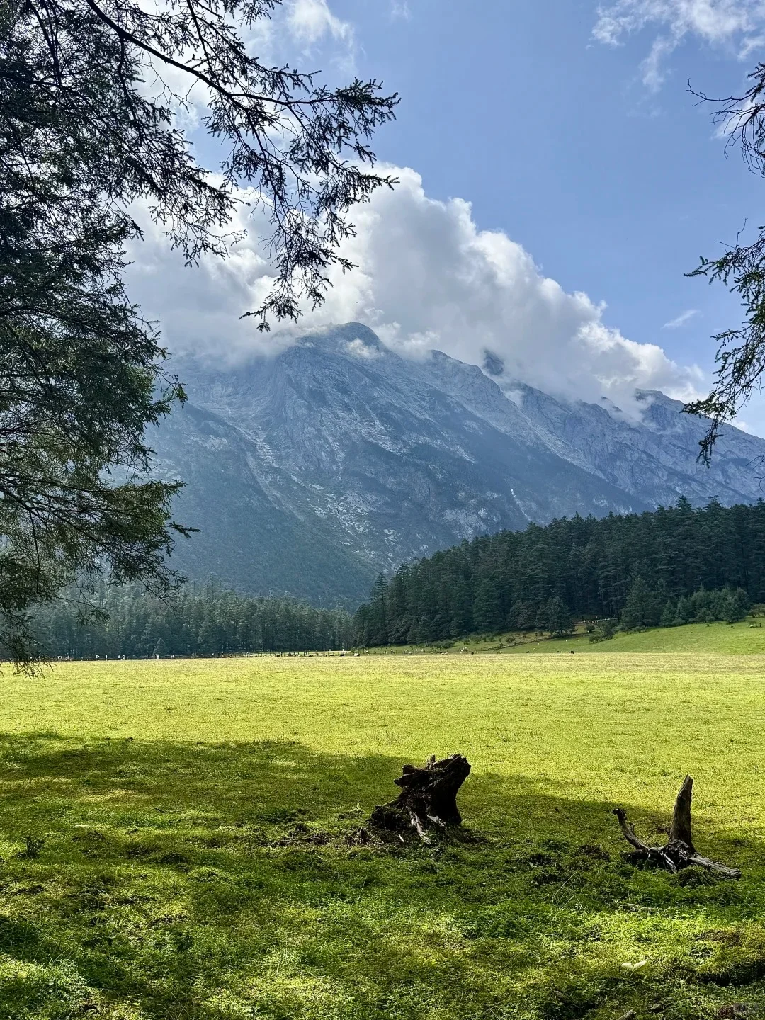 玉龙雪山攻略别看了！💰人均200+直接跟团