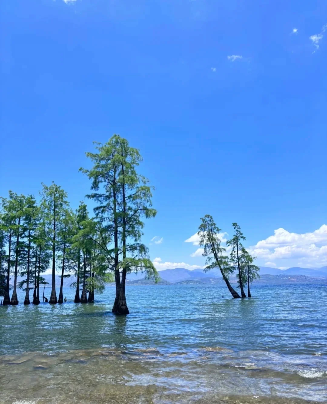 国庆大理一日游攻略 不超1百玩一天‼️