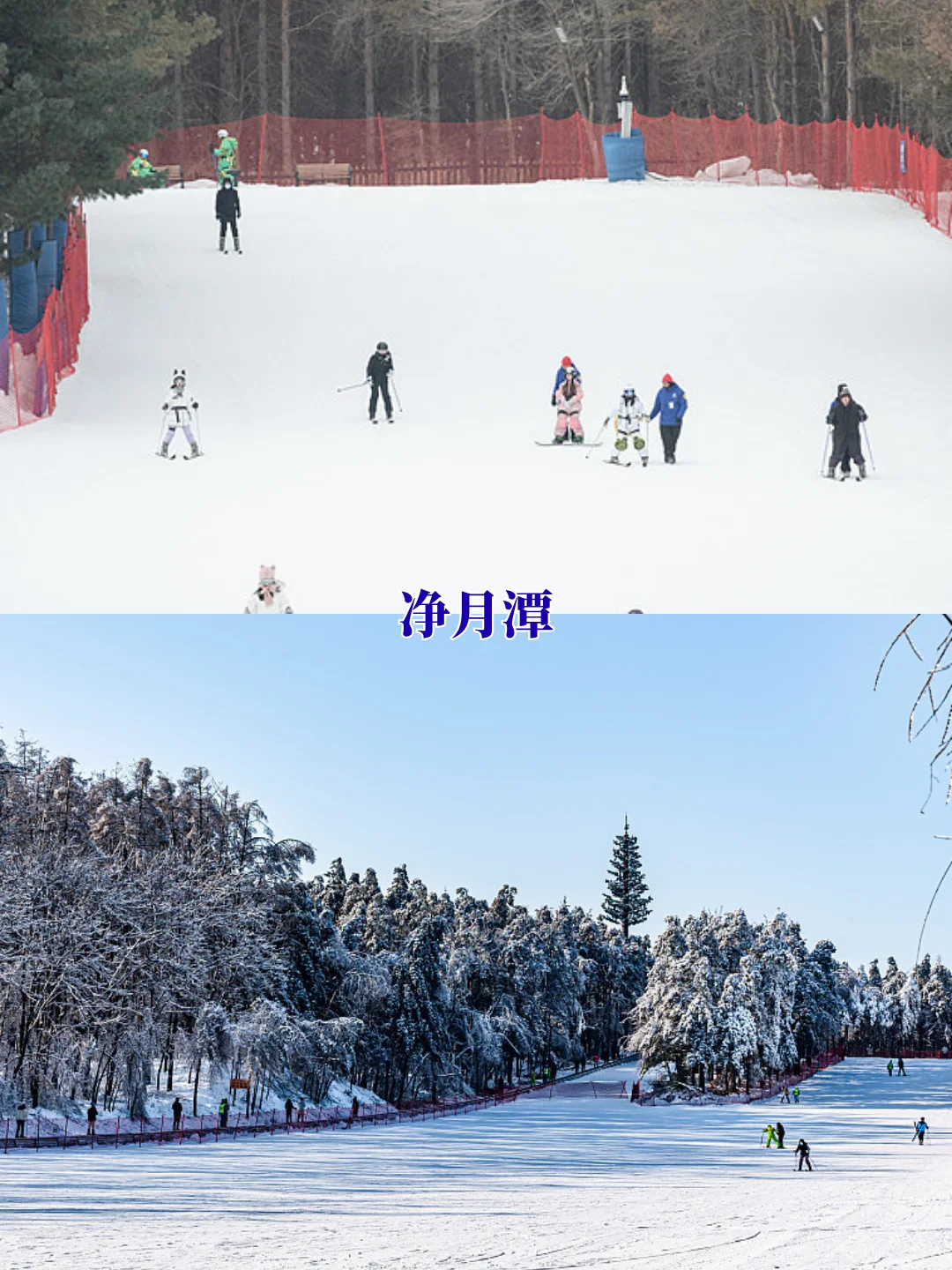 滑雪必看🚫 国内10大滑雪场十选一