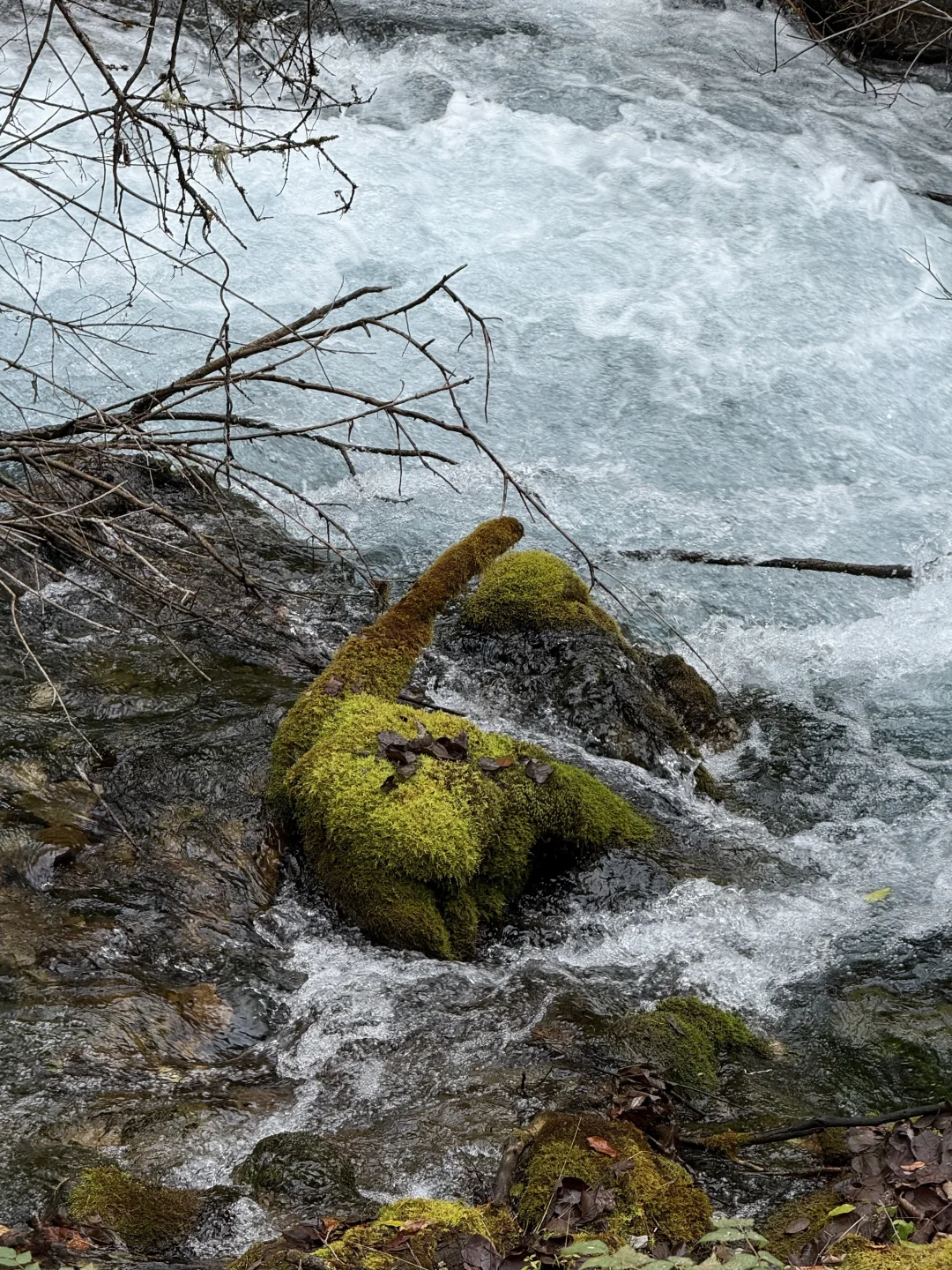 九寨沟特种兵旅游攻略