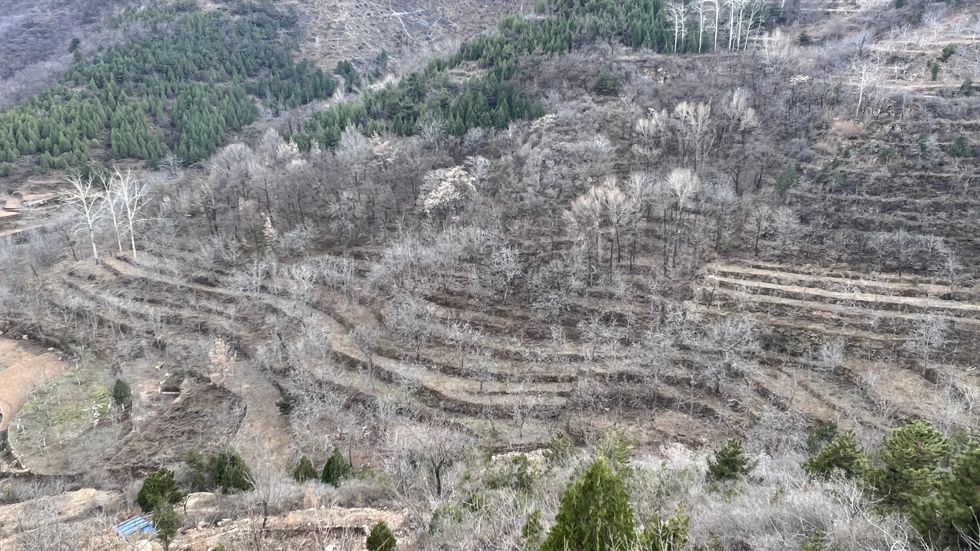 邯郸📍1h飙到武安!自驾攻略