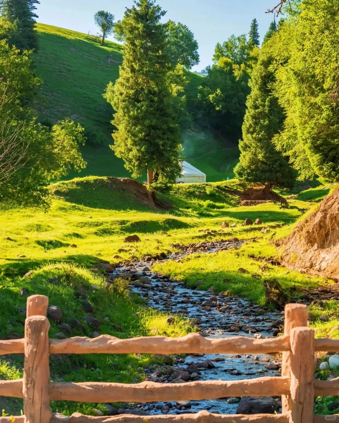 5-8月去伊犁玩了8天，消费观真的崩塌了……