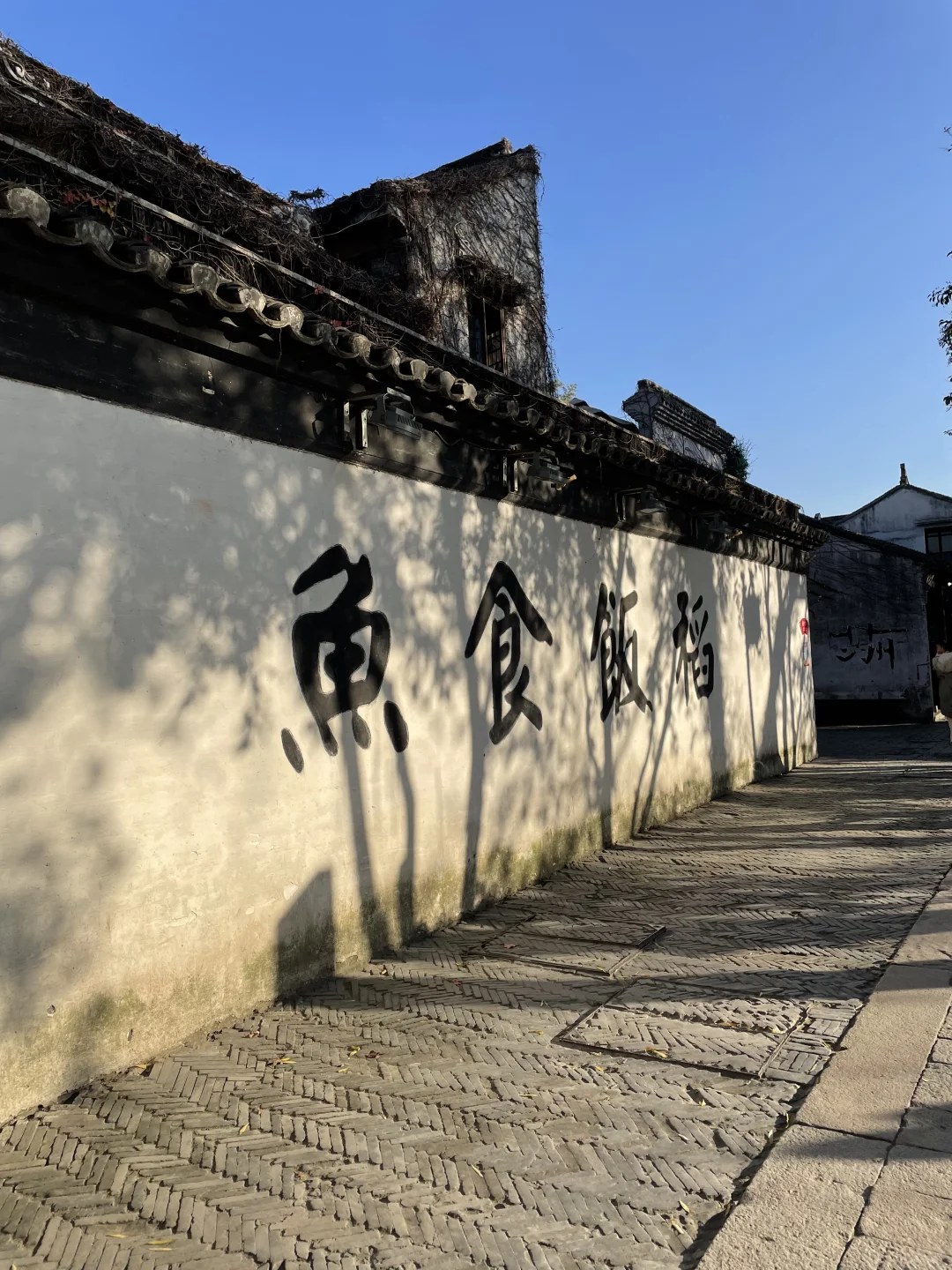 目前为止最喜欢的四个旅行城市