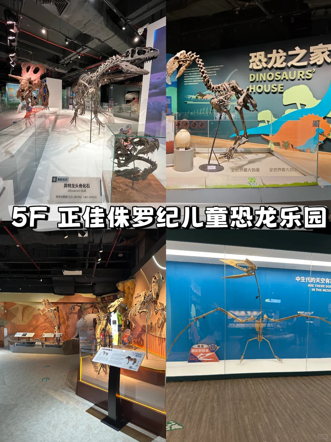 4A景区遛娃‼️广州正佳广场超全攻略