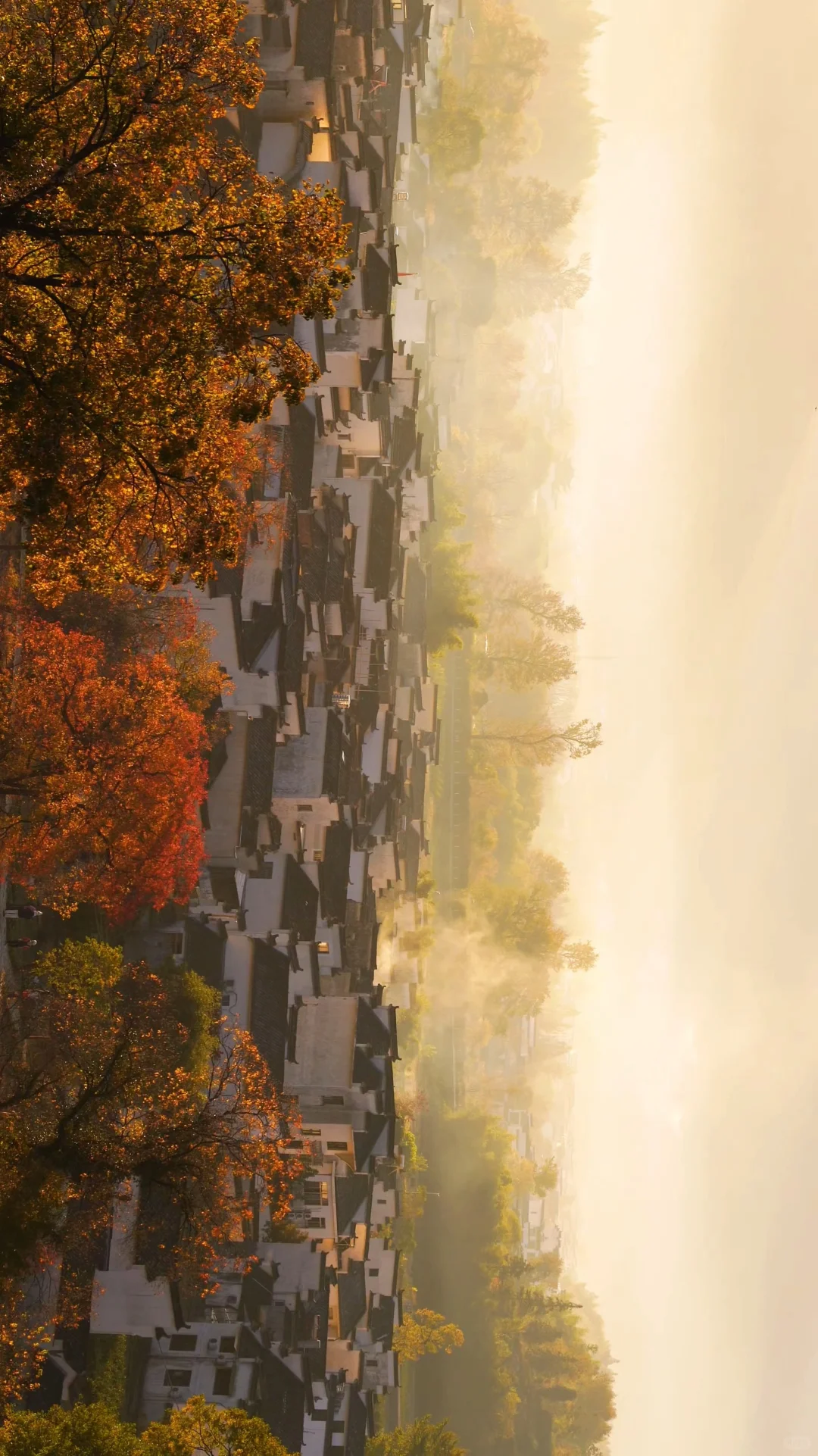 黄山之行｜感觉自己是天生的旅游圣体✨