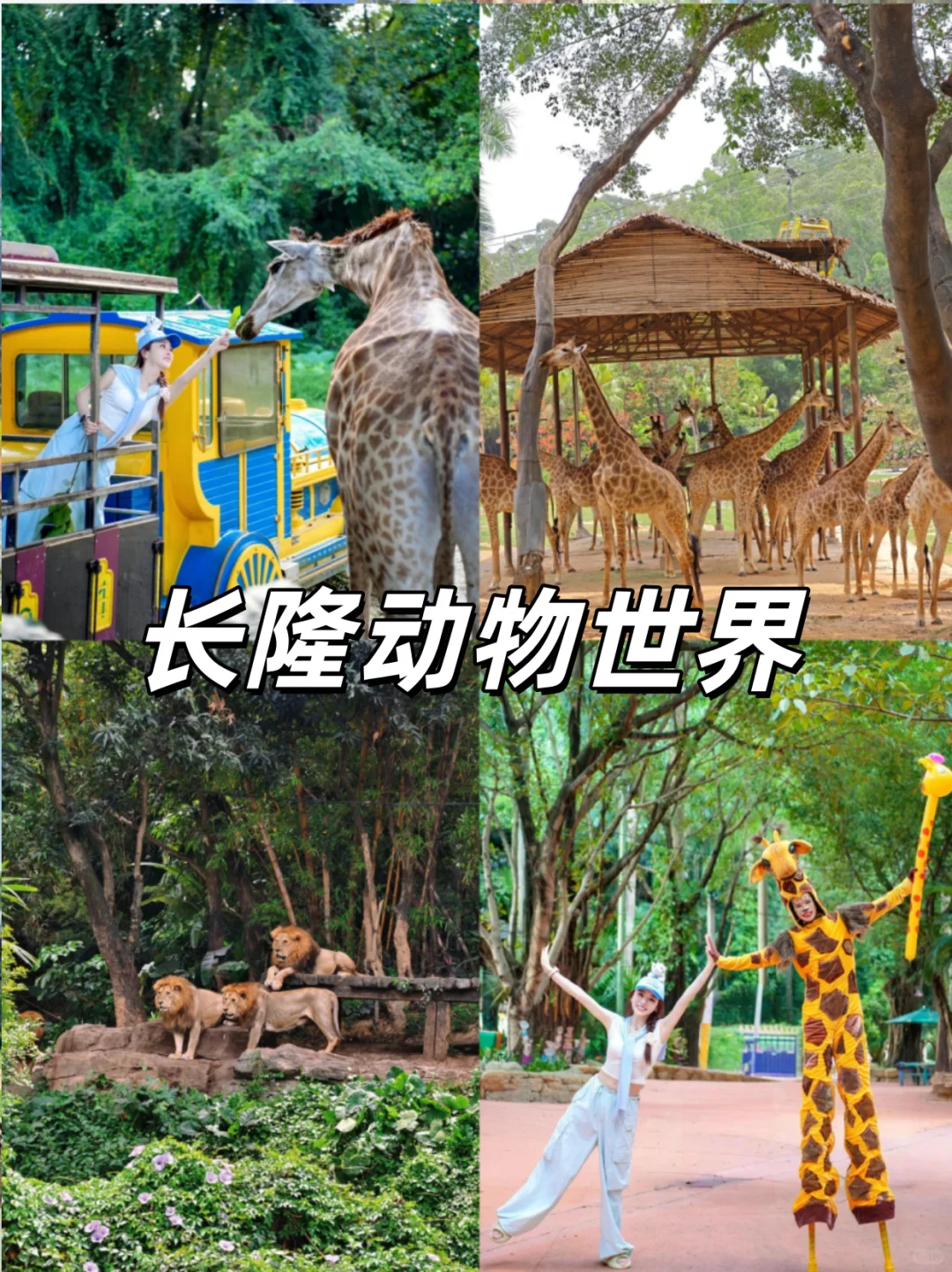 广州去哪玩，这9个景点必搜藏