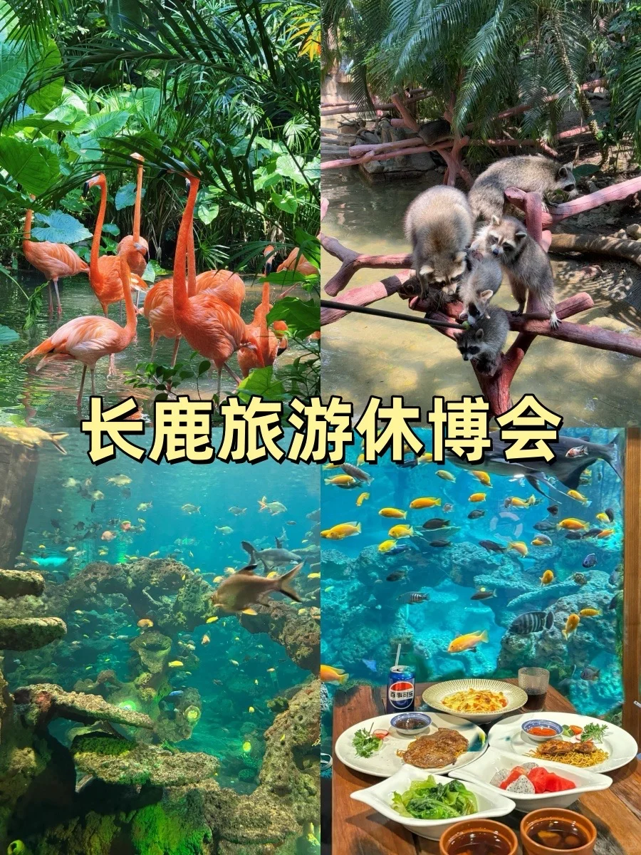 佛山必打卡十大景点排行榜!好玩到爆✨