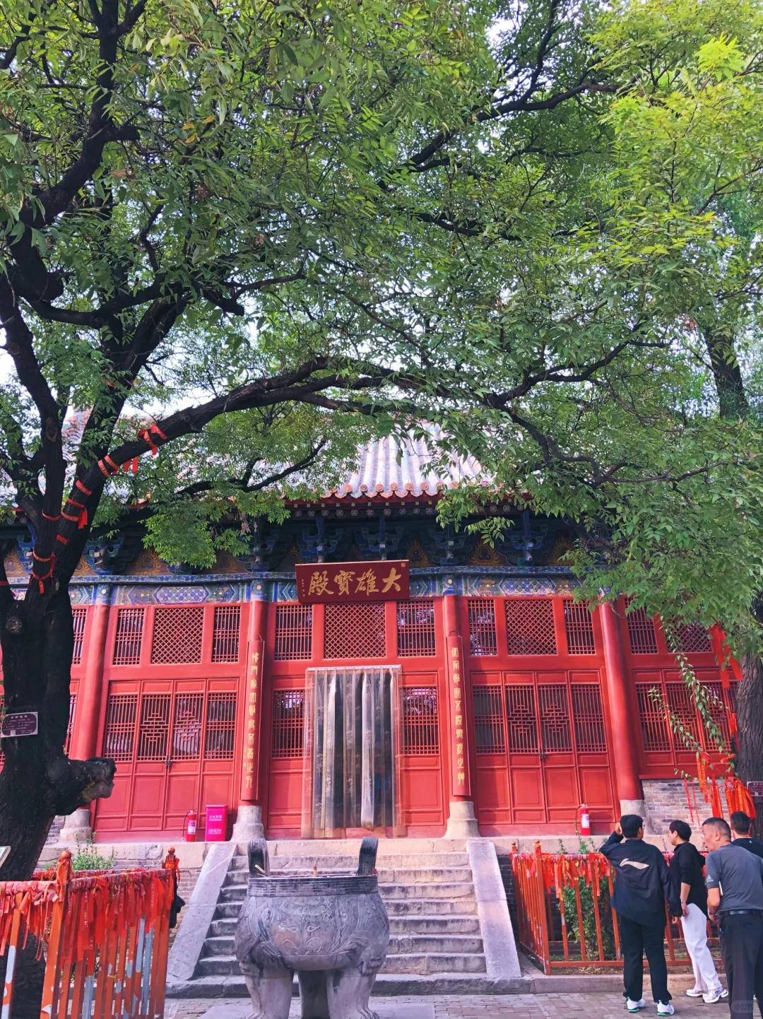 不用出河北 只用一杯奶茶钱就能看千年石窟