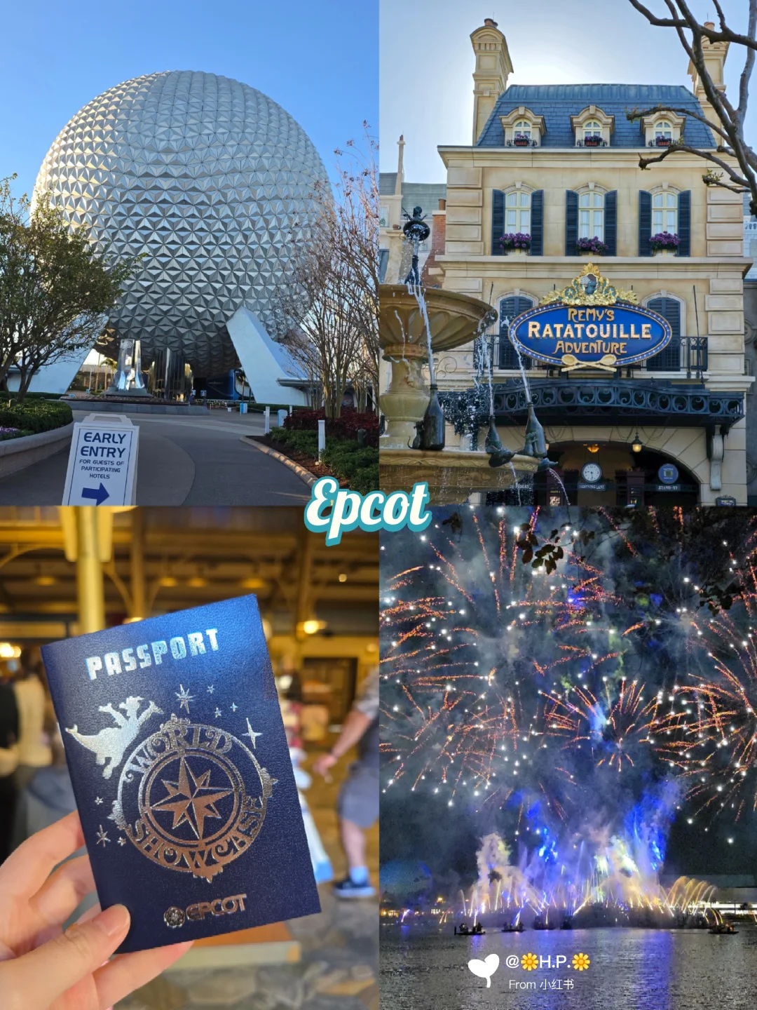 🇸🇬14天勇闯美国两大迪士尼+环球影城