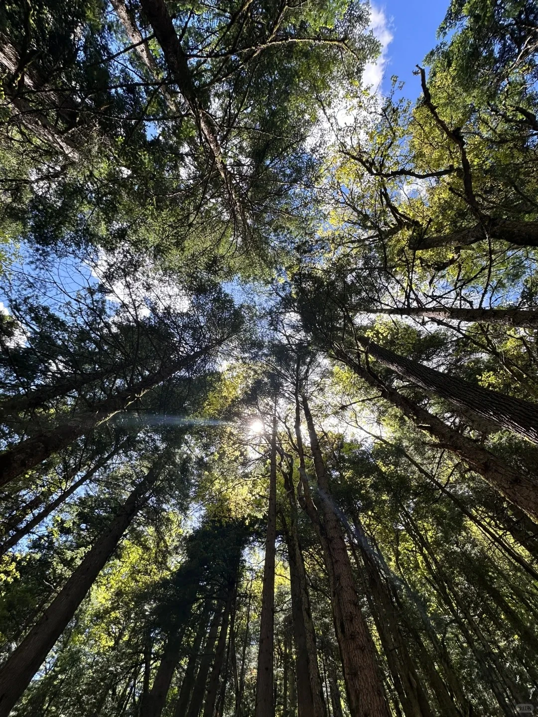 谁说雨季不能玩梅里？