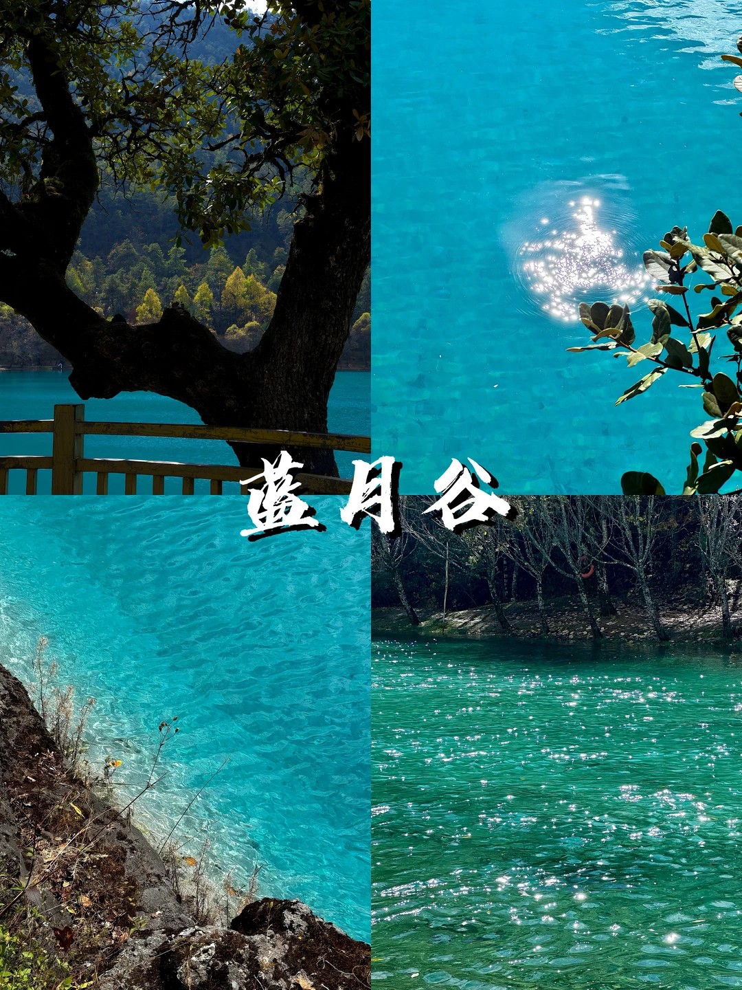 昆大丽必玩景点推荐,闭眼冲不踩雷!!🤬