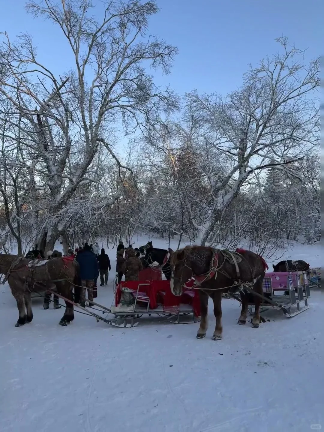 不是长白山去不起，而是伊春更有性价比