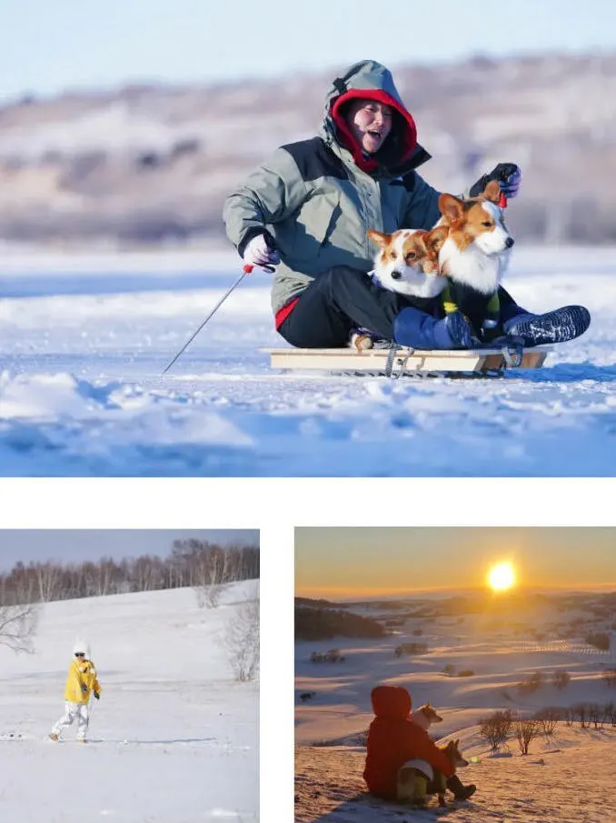 带狗去草原玩雪！越野车+泡温泉