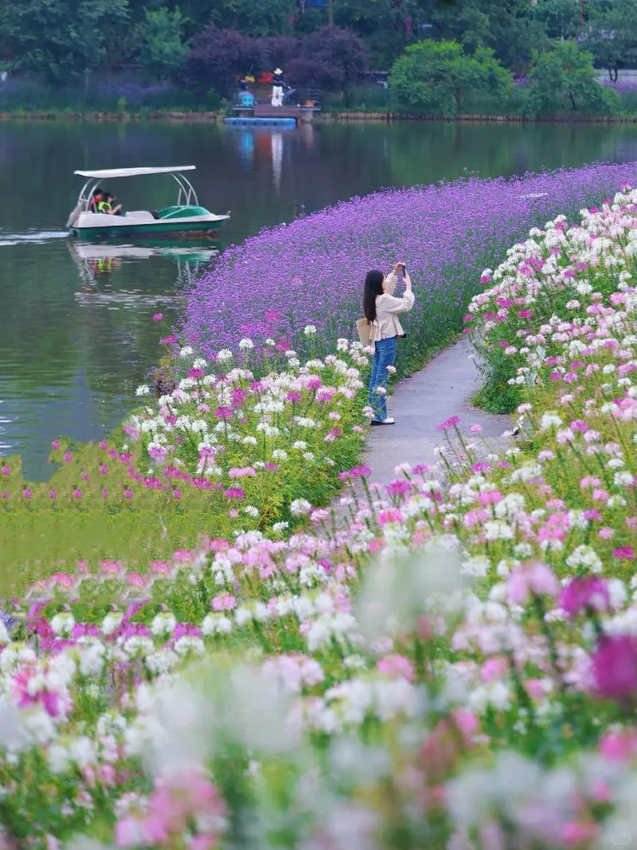 重庆！每月最佳景点，小众+经典全涵盖✨