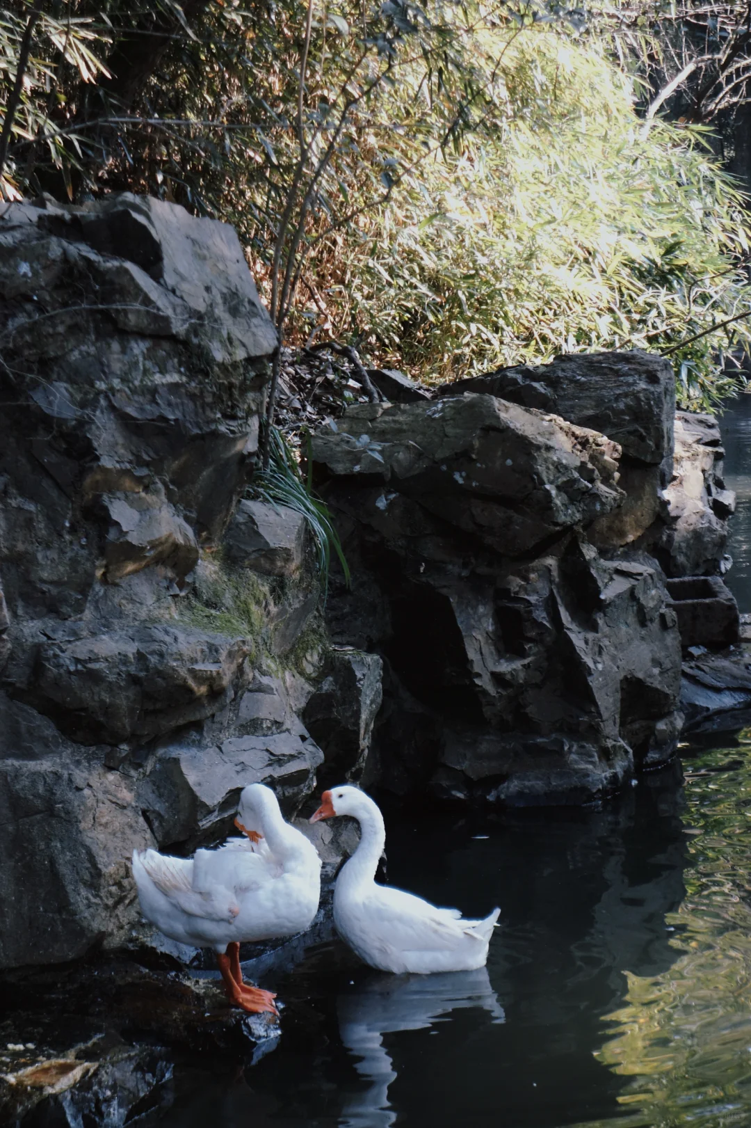 绍兴🍂一个人的冬天旅行