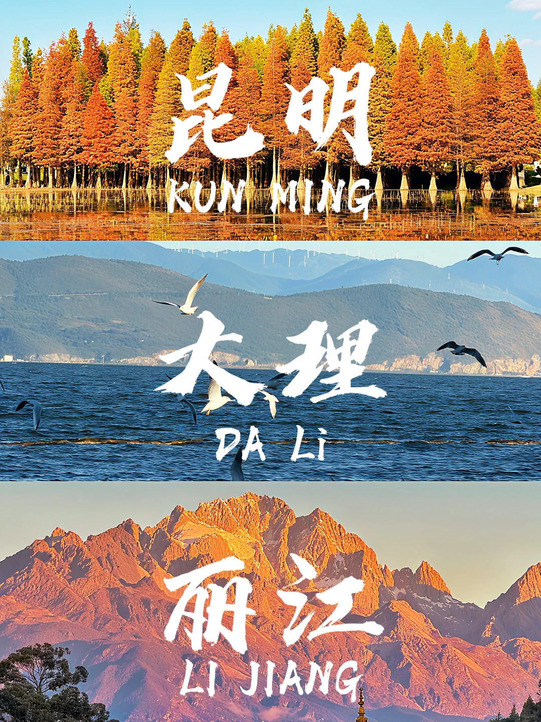 昆大丽必玩景点推荐,闭眼冲不踩雷!!🤬