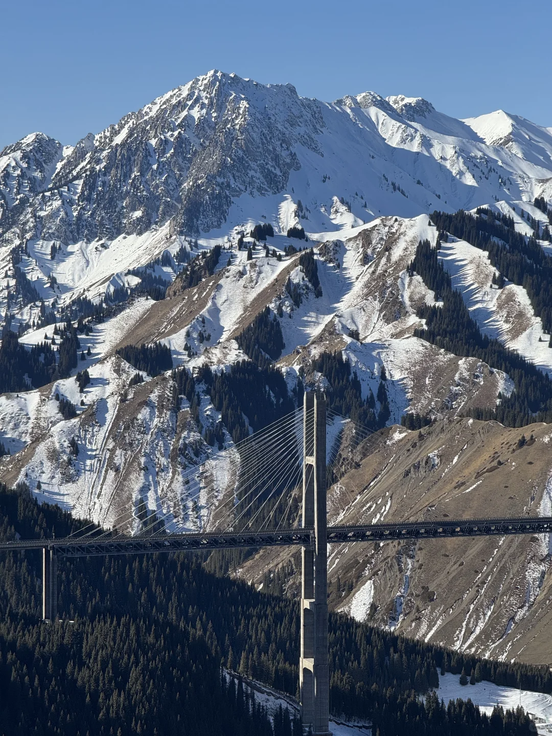 深圳打工人周末去赛里木湖+库尔德宁+八卦城