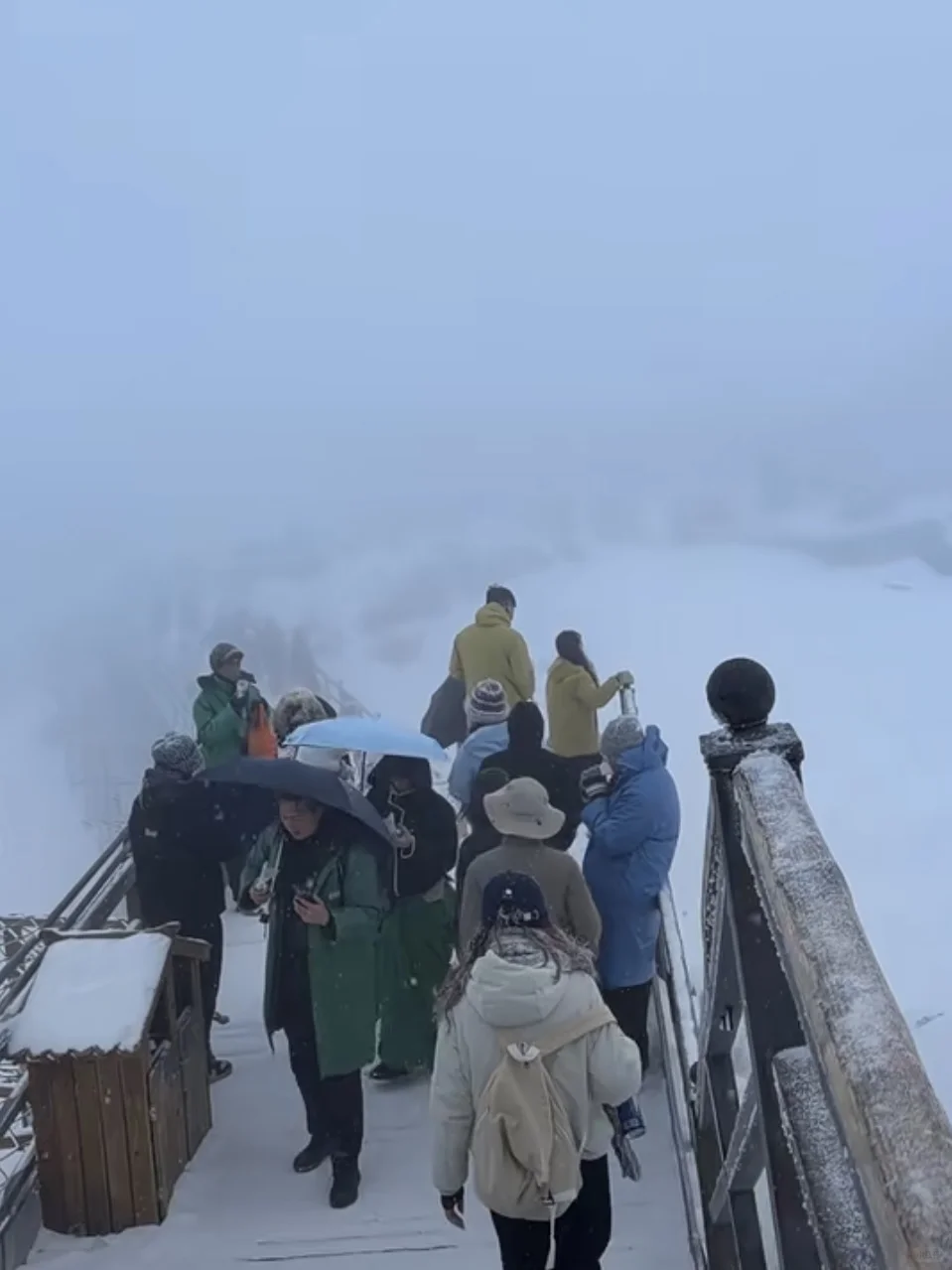 11.22📍玉龙雪山实况 真心建议还未出行的