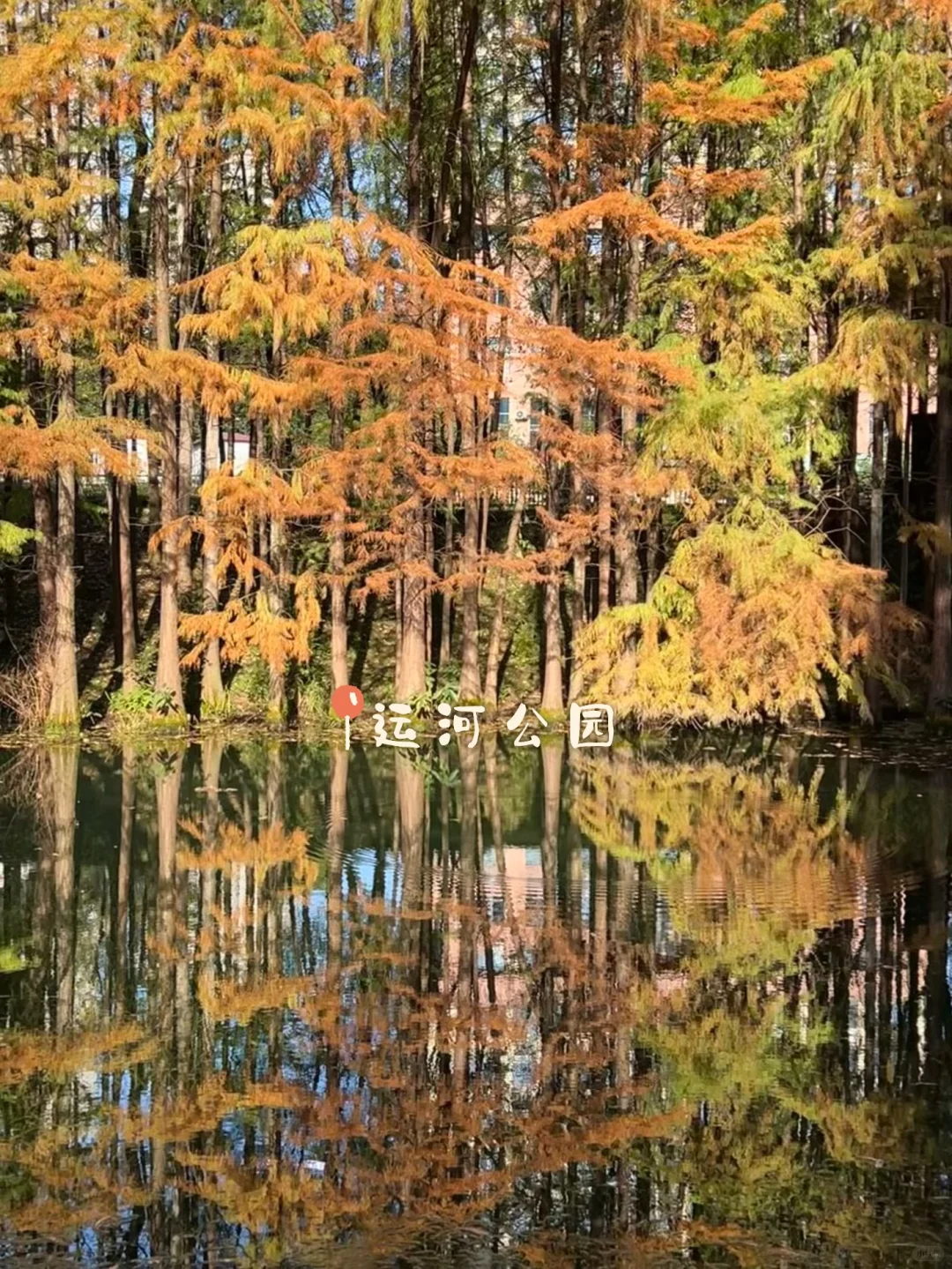 湖北宜昌玩几天?秋季旅行攻略汇总📝