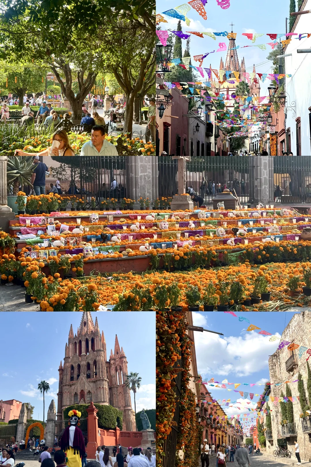 旅行体验最好的前三名国家(个人排序版)