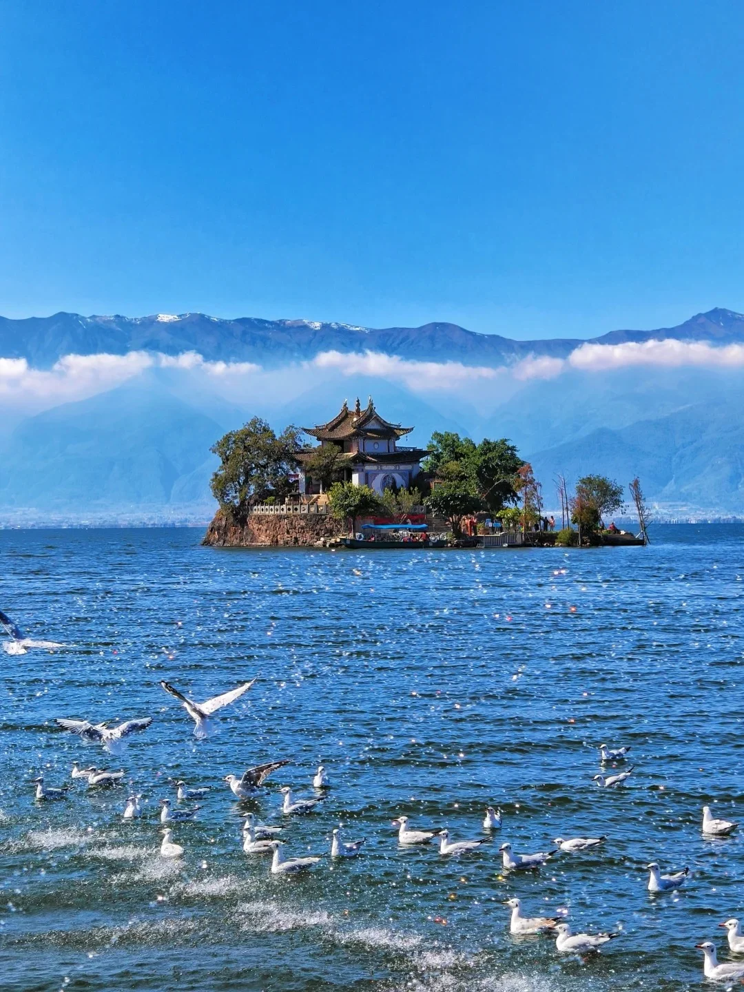 大理38元玩法攻略｜本地人看了都夸我会玩