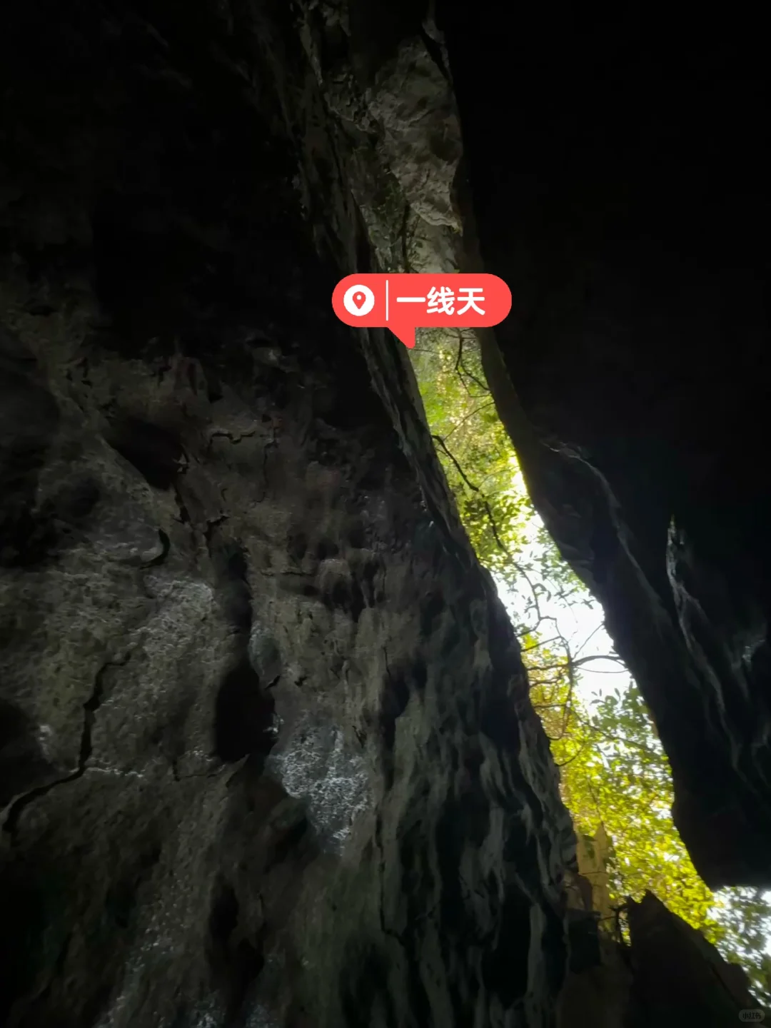昆明|石林📍 钻进亿年石头缝里探险也太酷了