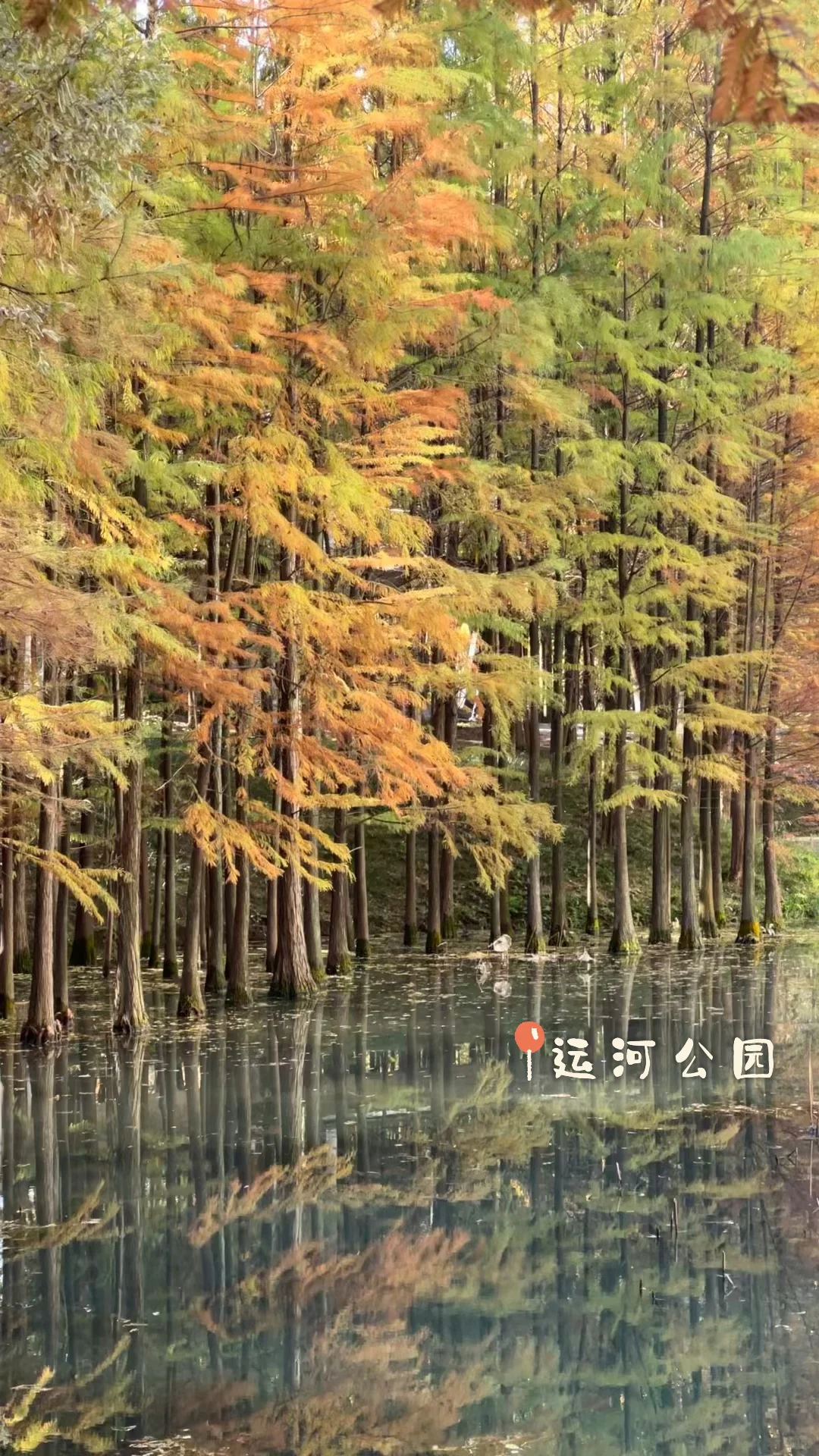 湖北宜昌玩几天?秋季旅行攻略汇总📝