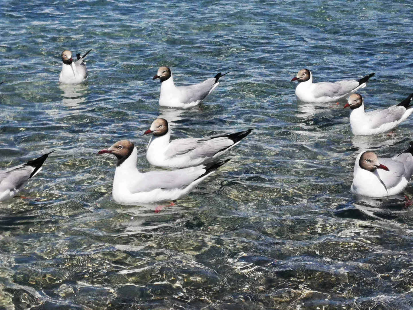 家人们去哪里旅游了！