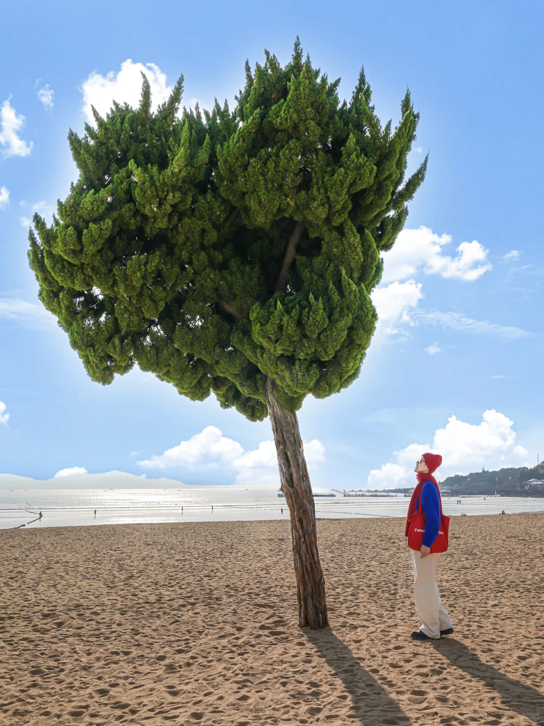 真不是意大利，朋友都以为我出国了！！！