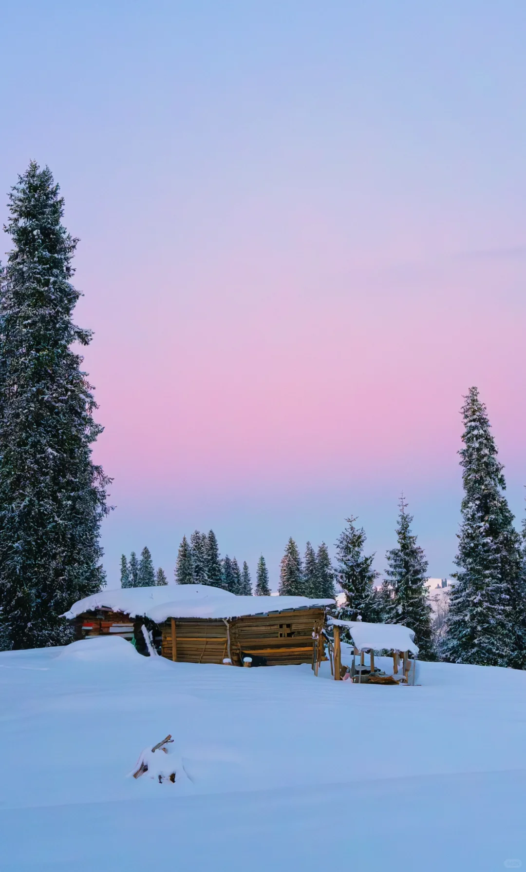 12月很适合去的旅行目的地推荐🌲