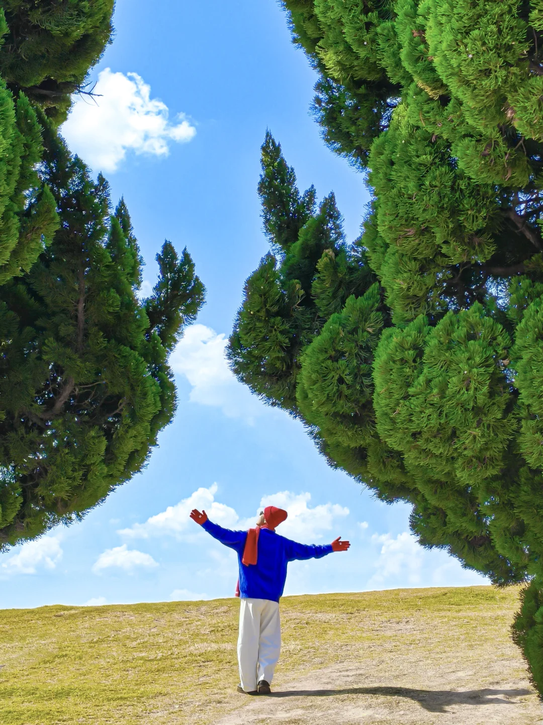 真不是意大利，朋友都以为我出国了！！！