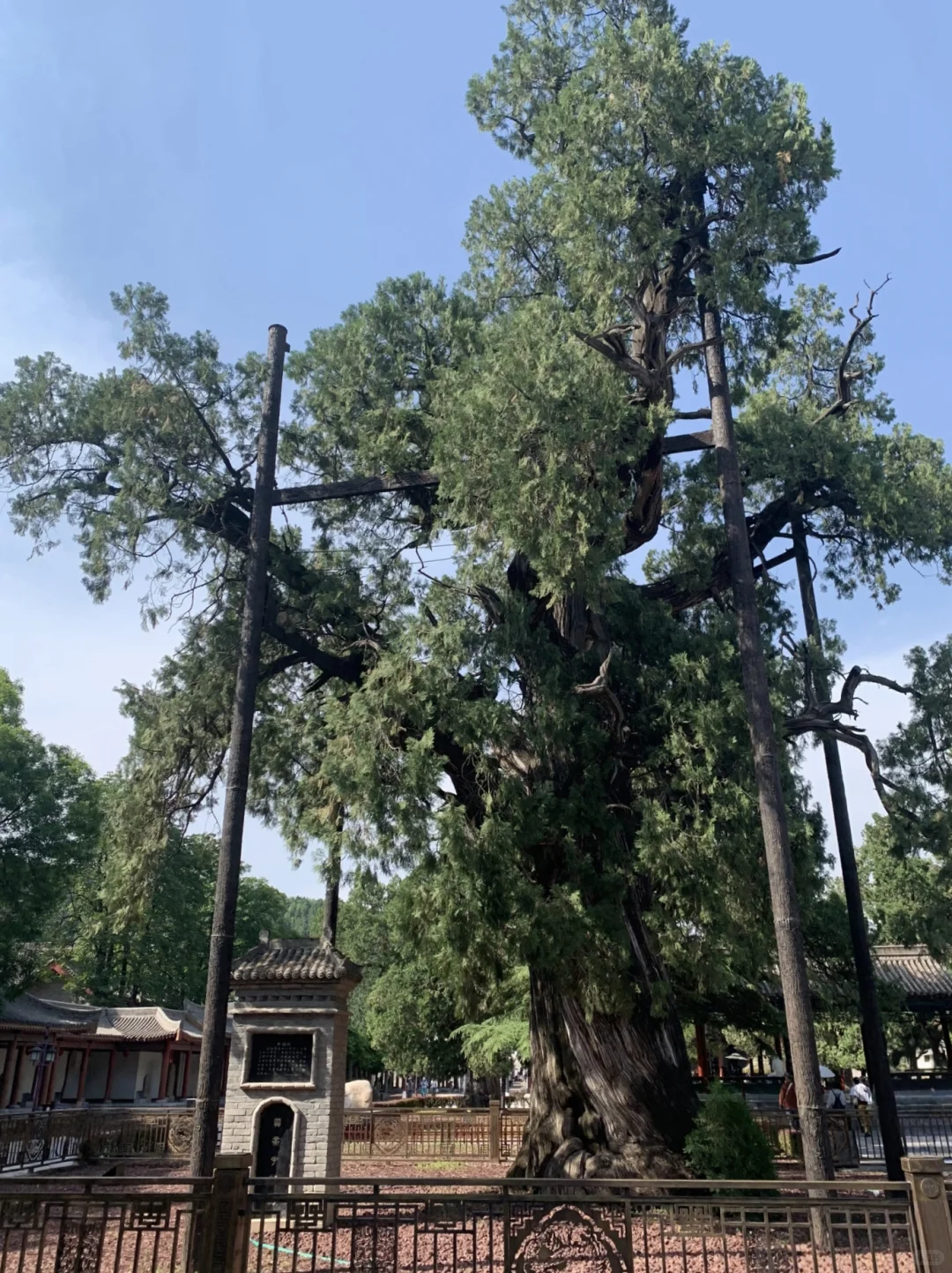 寻根问祖必来——黄帝陵