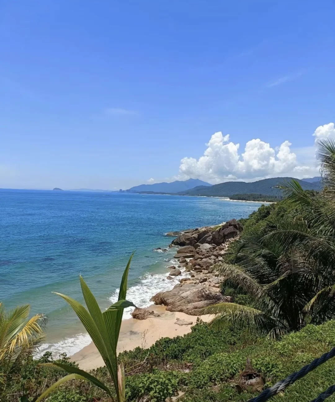 官宣！宝藏城市三亚这波福利我先冲了！