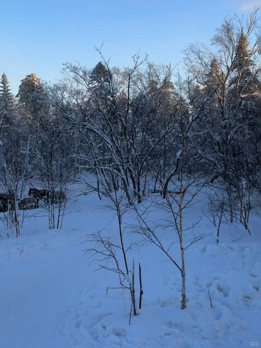 不是长白山去不起，而是伊春更有性价比